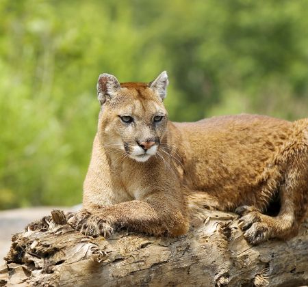 things to do for destination